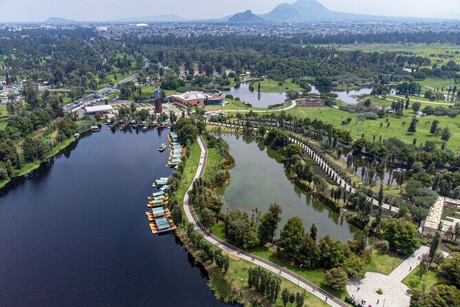 CDMX Enjoy a unique tour of Xochimilco and Coyoacán - The Sum Up