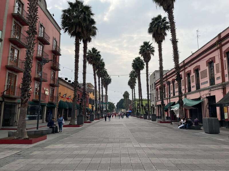 CDMX: Garibaldi Copa Show - The Experience in Practice: What Travelers Say