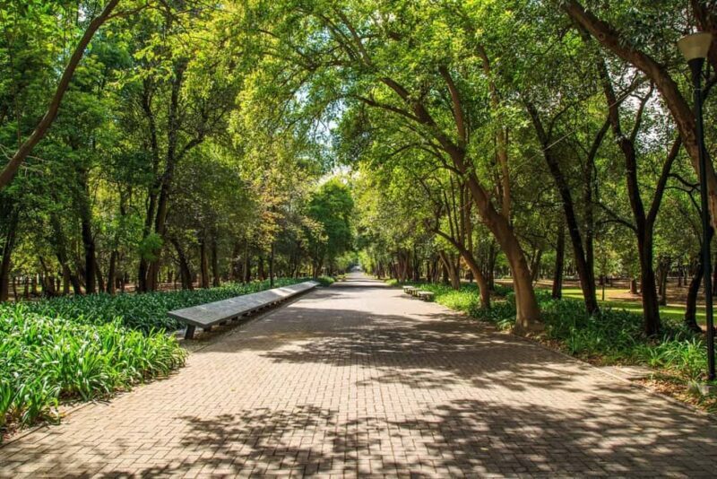 CDMX: Private bicycle tour through the Chapultepec Forest. - First Impressions: What’s the Tour All About?