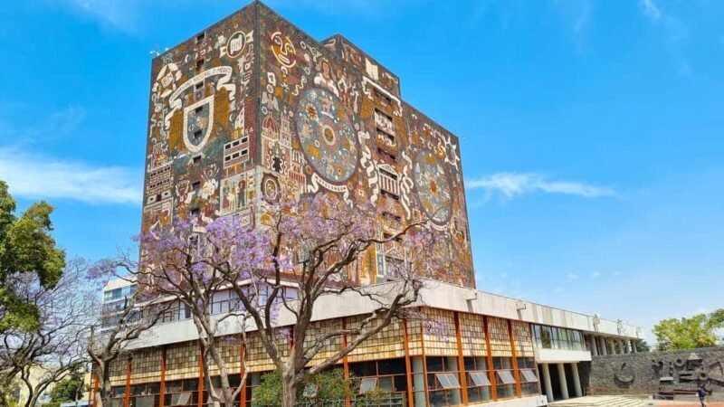 CDMX: Private tour of Xochimilco, Coyoacán, and the Frida Museum - University City Murals at UNAM