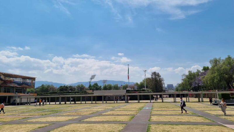 CDMX: Private tour of Xochimilco, Coyoacán, and the Frida Museum - What to Keep in Mind