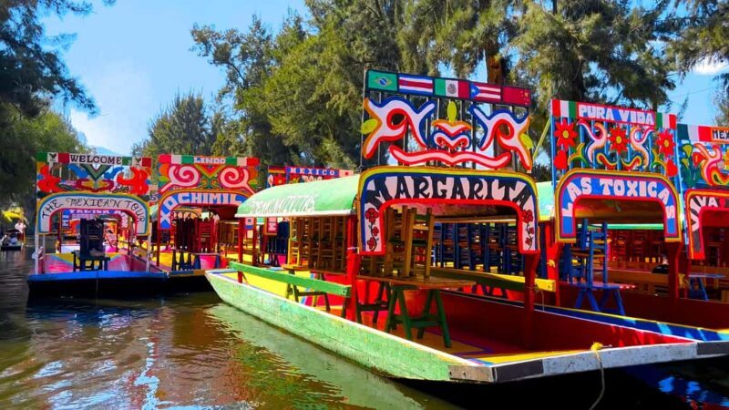 CDMX: Trajinera party in Xochimilco with tacos, music, and drinks - Key Points