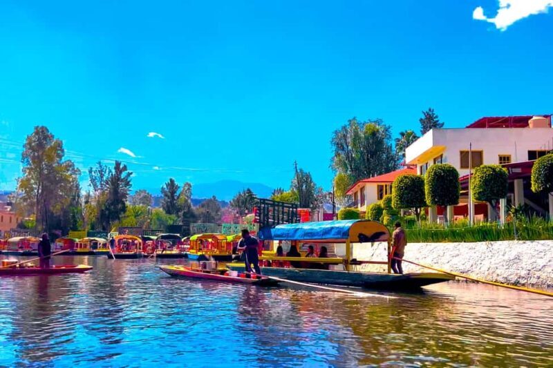 CDMX: Trajinera party in Xochimilco with tacos, music, and drinks - The Experience in Detail