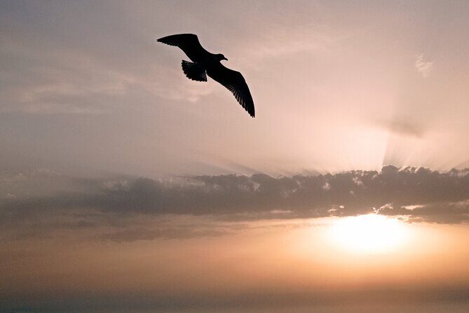 Cefalú Boat Tour with aperitif at sunset - The Value of the Tour