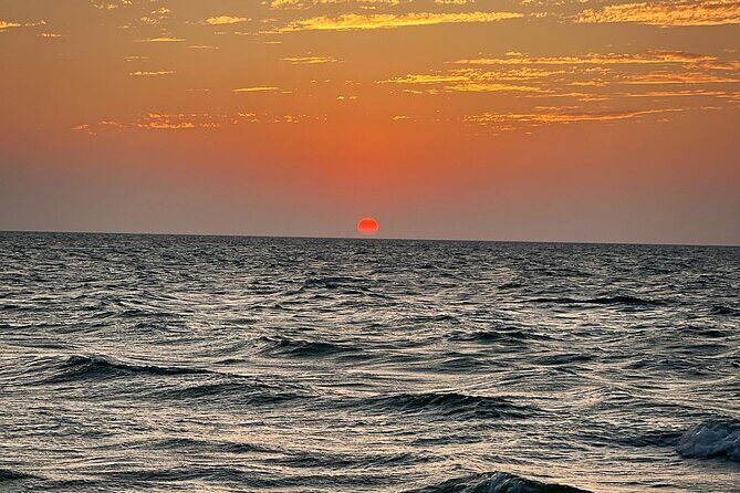 Celestun and Sisal Tour from Mérida - The Itinerary in Detail