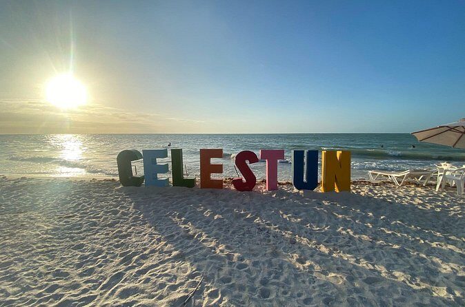 Celestun and Sisal Tour from Mérida - Analyzing Value and Practicality