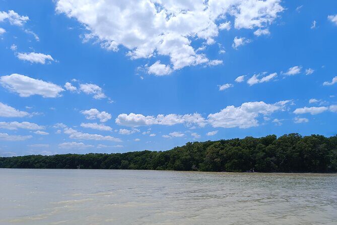 Celestun Beach and Mangrove Boat Ride from Merida - Free Time at Celestún Beach