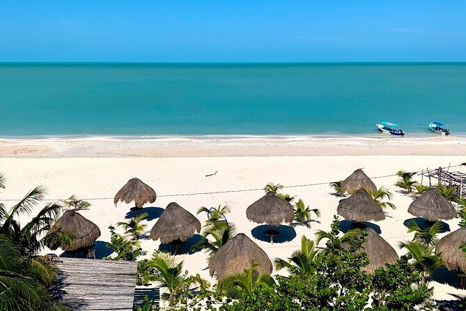 Celestun Beach and Mangrove Boat Ride from Merida - Who Should Consider This Tour?