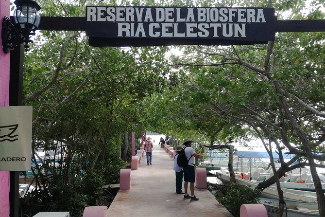 Celestun Biosphere Reserve Tour from Merida - The Value and Cost: Is It Worth It?