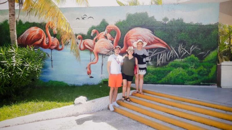 Celestún Flamingos, Beach, and Seafood Tour, leaving from Merida - A Deep Dive into the Experience