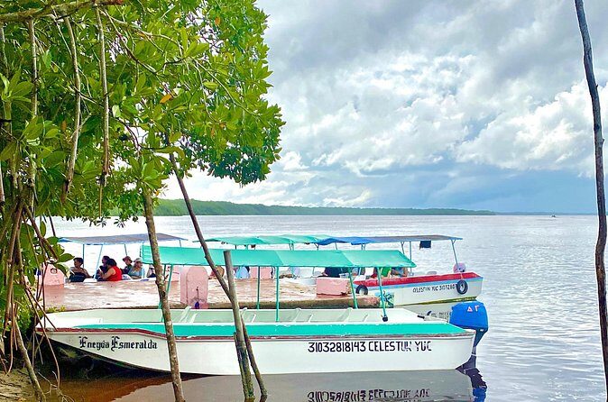 Celestun Flamingos Beach & Seafood Tour departure from Merida - Authentic Traveler Insights