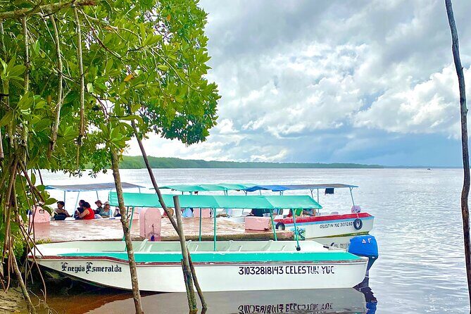 Celestun Flamingos Beach & Seafood Tour departure from Merida - The Sum Up