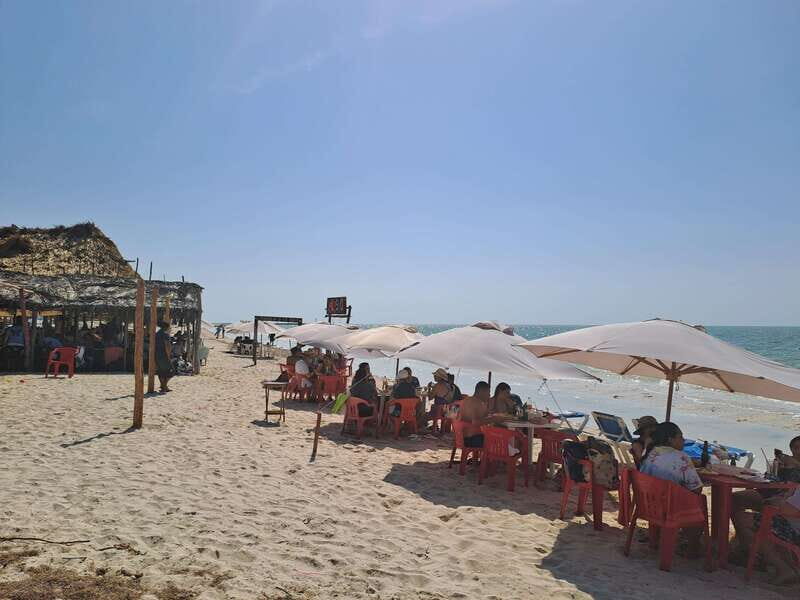 Celestun + Lunch, Boat Ride & beach time. - Final Thoughts