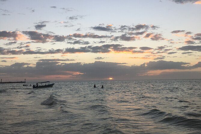Celestun mangrove boat tour from Mérida - Final Thoughts