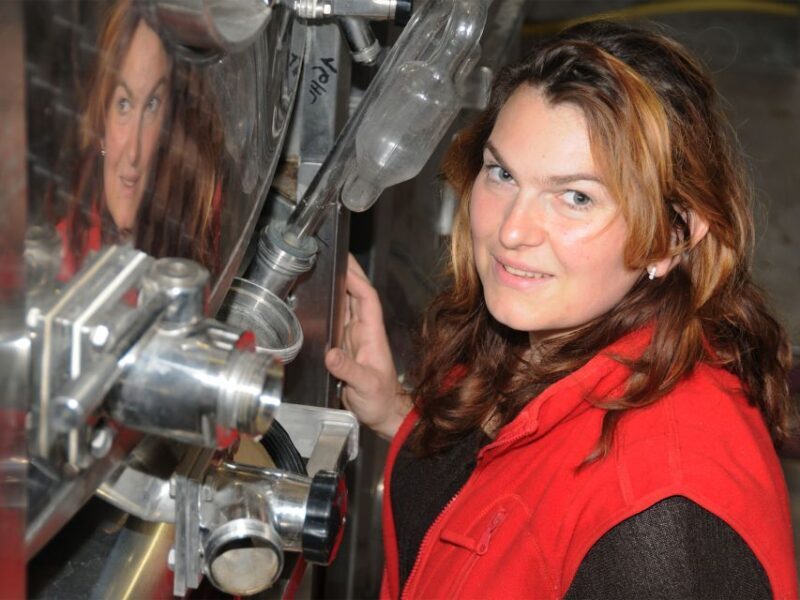 Cellar visit and Alsace wine tasting with a feminine touch - Key Points