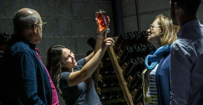 Celorico De Basto: Quinta de Santa Cristina Winery Tour - Who Should Consider This Tour?