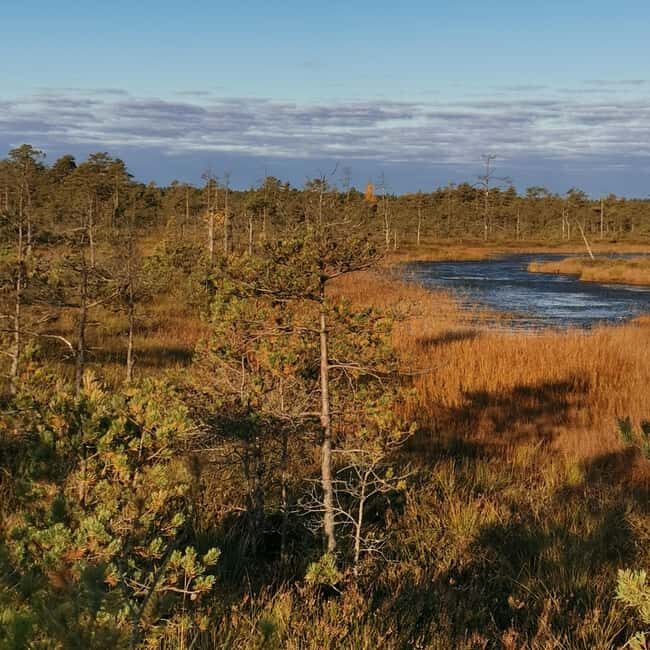 Cenas Bog trail near Riga for Nature lovers - Final thoughts