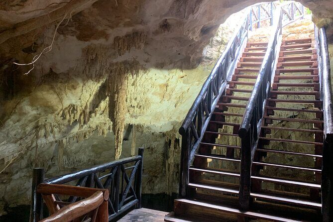 Cenote Adventure Tour - Real Experiences from Travelers