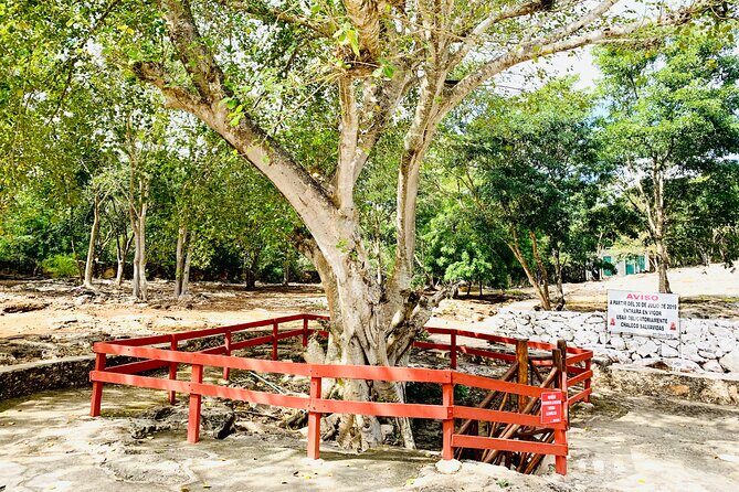 Cenote Adventure Tour - Final Thoughts on the Tour