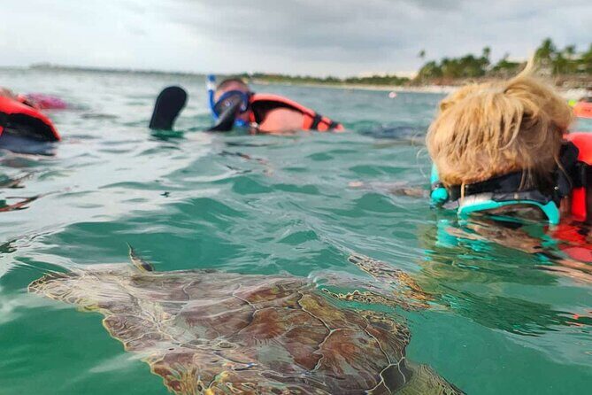 Cenote and Swimming with Turtles Private Tour in Akumal - Key Points