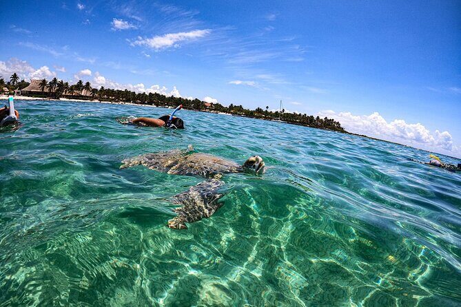Cenote and Swimming with Turtles Private Tour in Akumal - Who Is This Tour Best For?