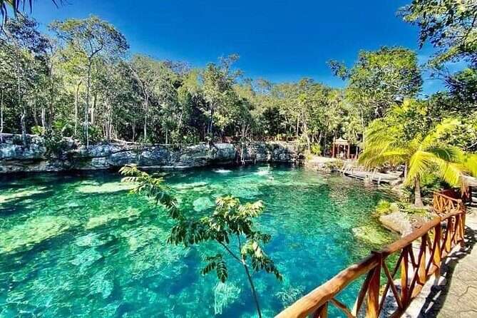 CENOTE DAY! with transportation from Cancun, Playa DC or Tulum - What to Expect at Cenotes Casa Tortuga