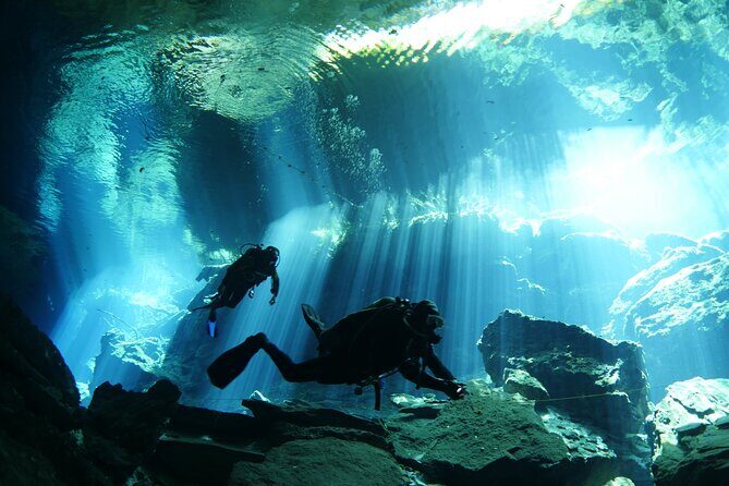 Cenote Diving - 2 Tank Dive Trip for Certified Divers - What You Can Expect from This Cenote Diving Trip