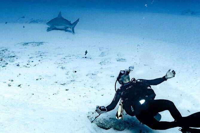 Cenote Diving in Tulum A Thrilling Adventure for Certificates - What’s Included and What’s Not