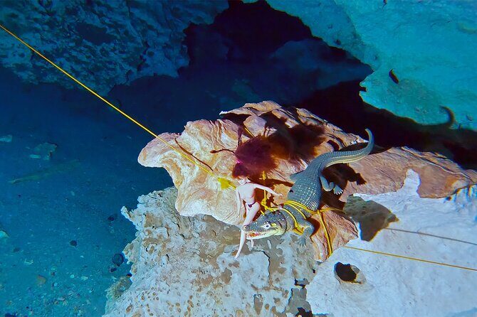 Cenote Dos Ojos Guided Scuba Diving - Exploring the Cenote Dos Ojos Experience