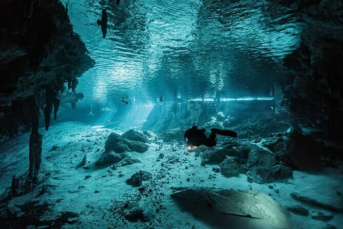 Cenote El Pit and Dos Ojos Dive Trip - Detailed Review of the Cenote El Pit and Dos Ojos Tour