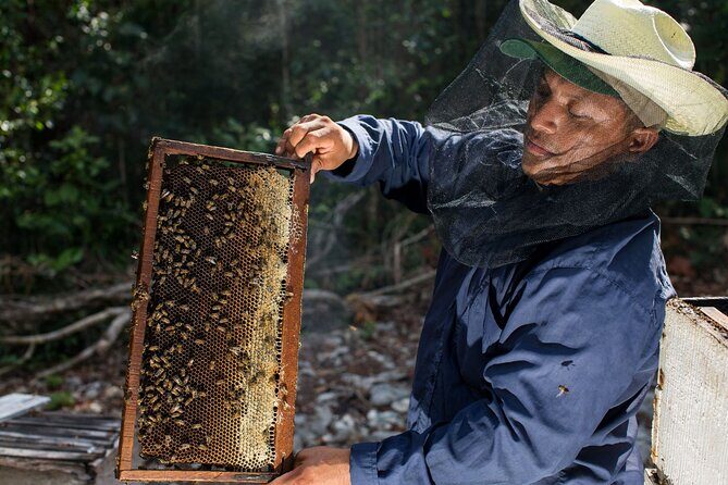 Cenote Tankah and Mayan Village Tour with Zipline, Canoes & Lunch - Final Thoughts