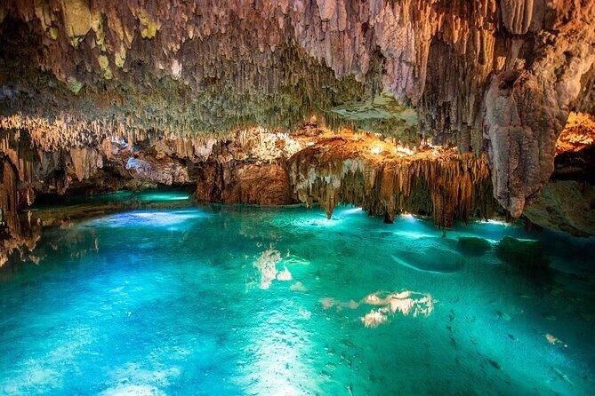 Cenote Turtle and Beach Club Full Day Tour - What the Tour Includes and How It Works