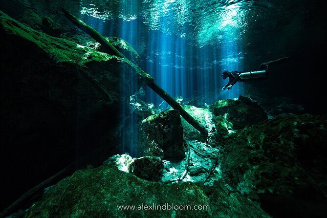 Cenotes 2-Day Scuba Diving Package in the Riviera Maya - The Experience from a Traveler’s Perspective