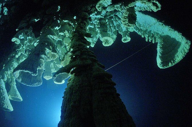 Cenotes 2-Tank Dive in Playa del Carmen/for certified divers only - Key Points