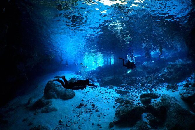 Cenotes 2-Tank Dive in Playa del Carmen/for certified divers only - The Real Experience, Including Downsides