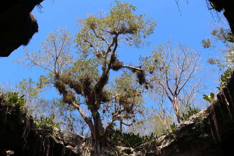 cenotes adventure (4 cenotes) + Izamal - FAQ