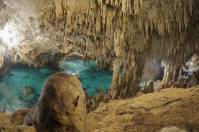 Cenotes and Paradise Lagoon - An In-Depth Look at the Cenotes and Paradise Lagoon Tour