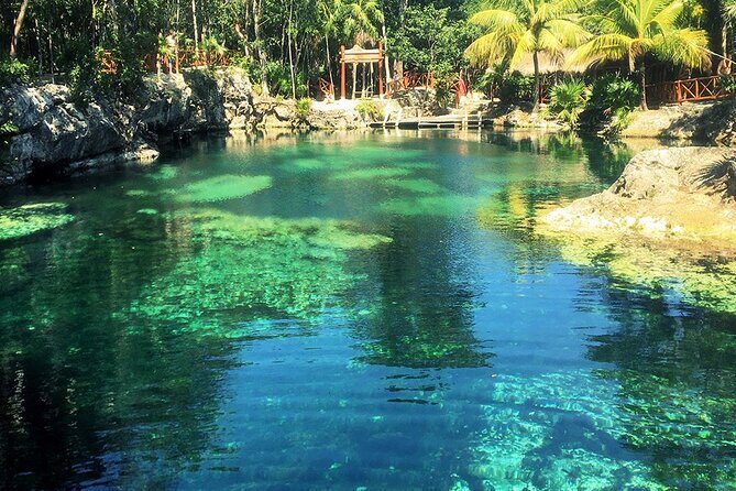 Cenotes Casa Tortuga 4 Cenotes Day Pass - Highlights of the Experience