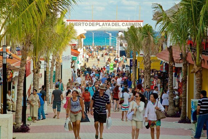 Cenotes Casa Tortuga - The Value of the Experience