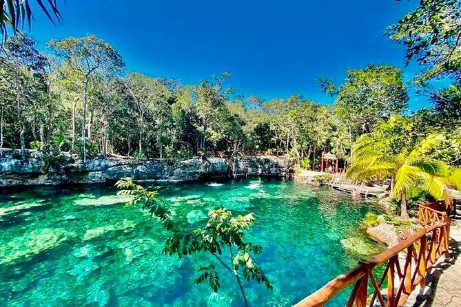 Cenotes Casa Tortuga Tulum Guided tour of the National Park - Wrapping Up