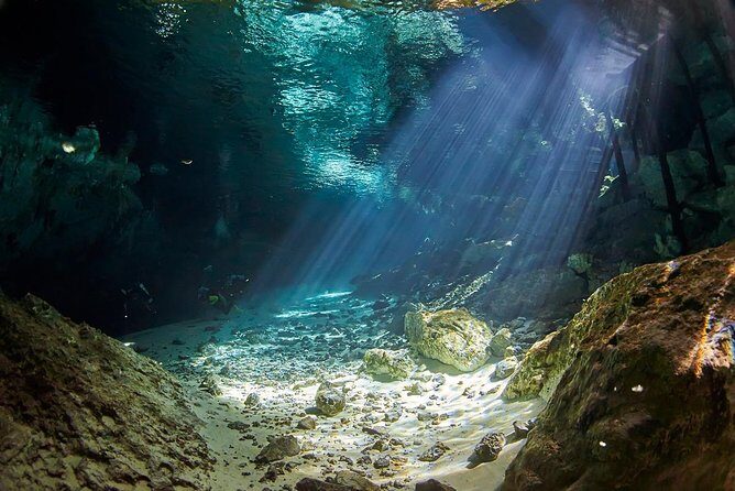 Cenotes diving from Riviera Maya - What Makes the Cenotes Diving Tour Special