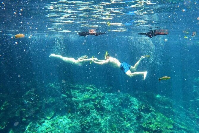Cenotes Sacactum, Private tour, free snorkel - Final Thoughts