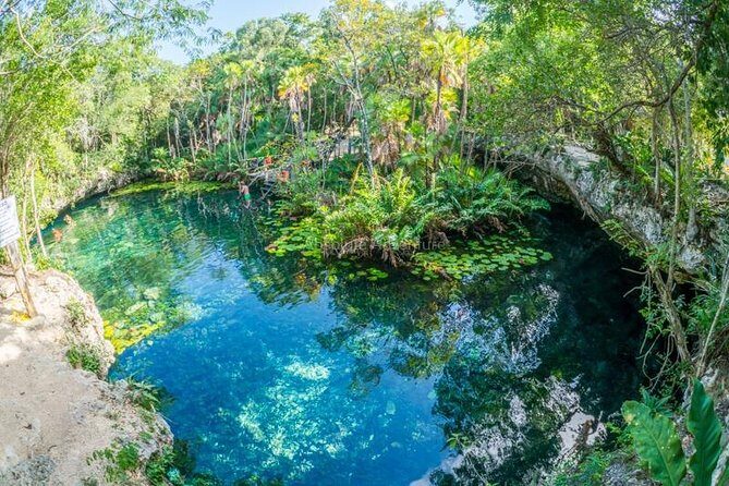 Cenotes Taak Bi Ha & Nicte Ha  VIP Snorkeling Private Tour - The Experience: What You Can Expect