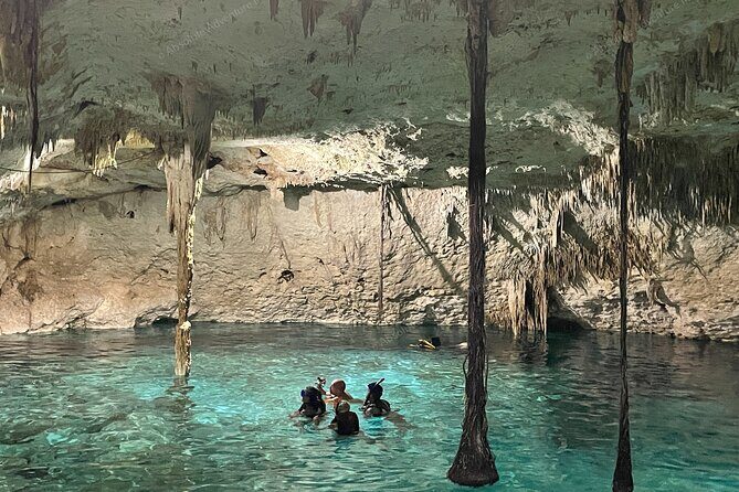 Cenotes Taak Bi Ha & Nicte Ha  VIP Snorkeling Private Tour - Real Traveler Insights and Feedback