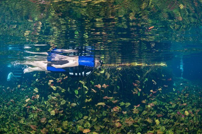 Cenotes Taak Bi Ha & Nicte Ha  VIP Snorkeling Private Tour - Who Is This Tour Best For?