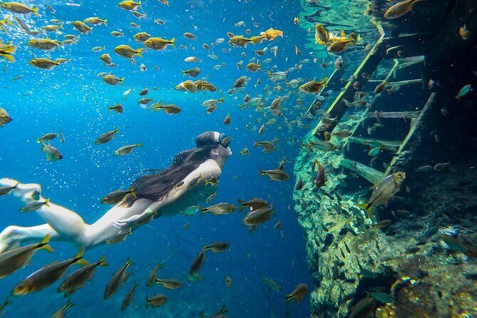 Cenotes Tour: Discover Hidden Gems, from Playa del Carmen - Detailed Breakdown of the Itinerary