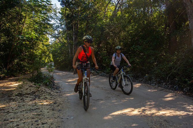 Cenotes trail jungle bike tour in Tulum with lunch - An Overview of the Experience
