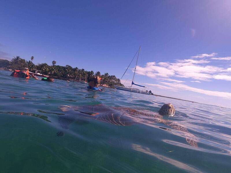 CENOTES TULUM/AKUMAL: 4 Cenotes in Mayan community and snorkeling with turtles - Final Thoughts