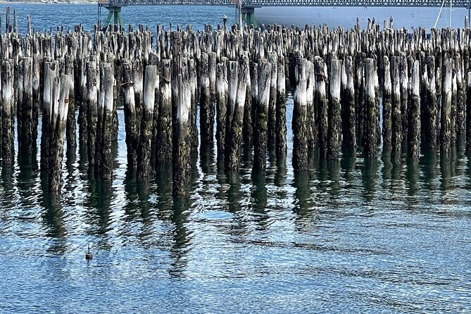 Central Coastal Maine Private Day Tour - FAQs about the Central Coastal Maine Private Day Tour