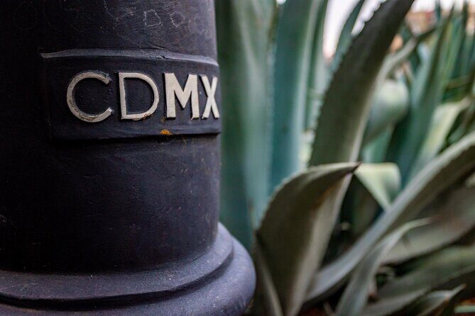 Central Mexico City Private Walking Tour - Who Will Love This Tour?